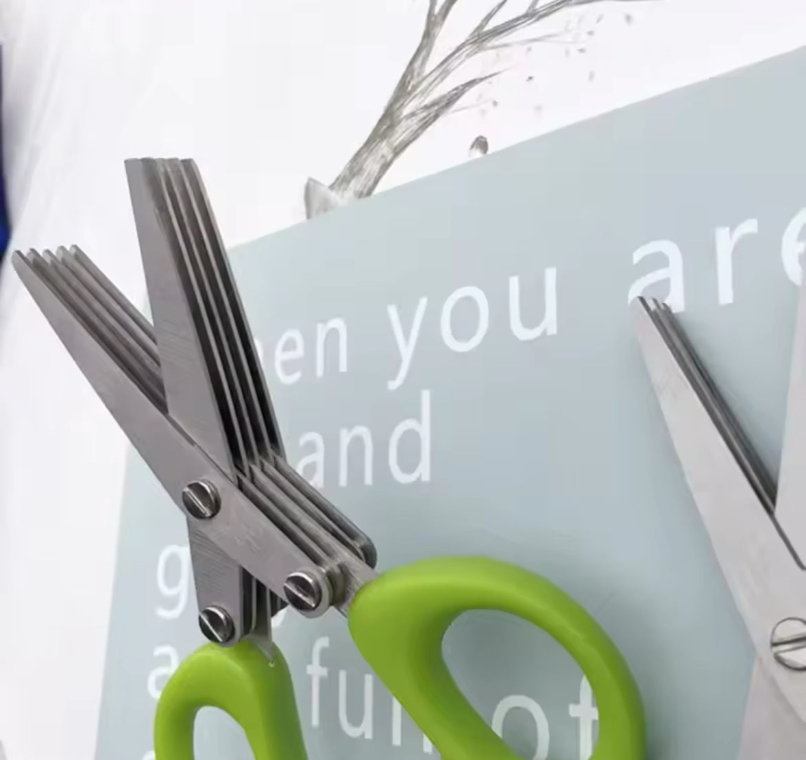 Multi-functional Stainless Steel 5 Layer Kitchen Scissors Pepper Shredded Chopped Scallion Cutter
