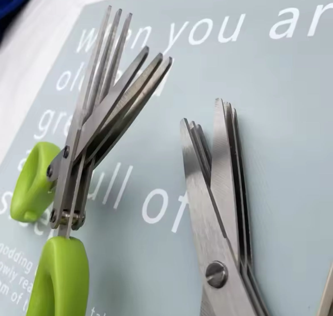 Multi-functional Stainless Steel 5 Layer Kitchen Scissors Pepper Shredded Chopped Scallion Cutter