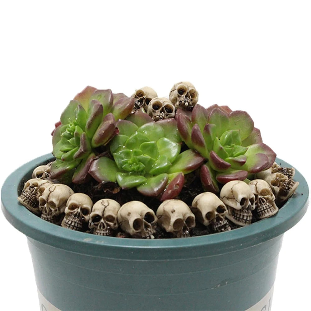 20PCS Mini Skull Miniatures, Skeleton Head Figurines for Fairy Garden Halloween Micro