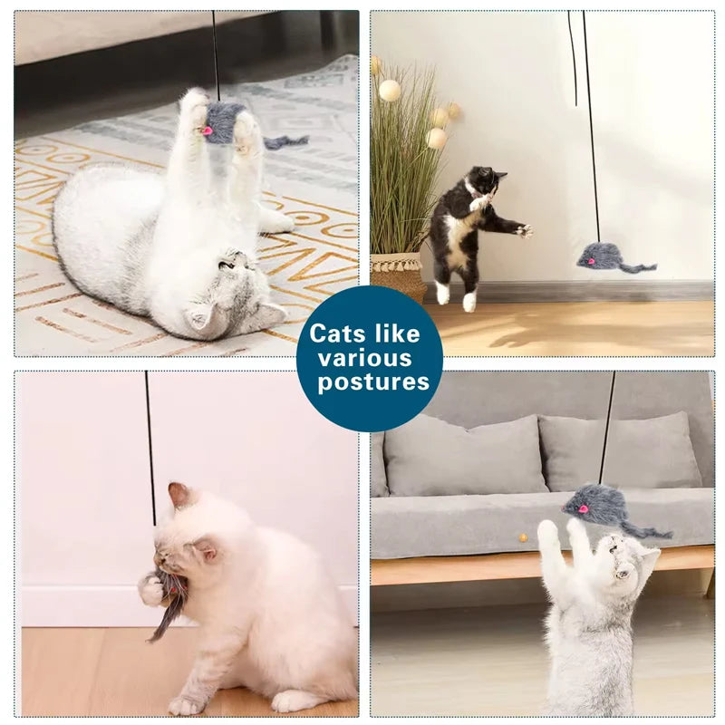 Retractable Cat Feather Toy Hanging Interactive Toys for Indoor Cats Kitten Play Chase