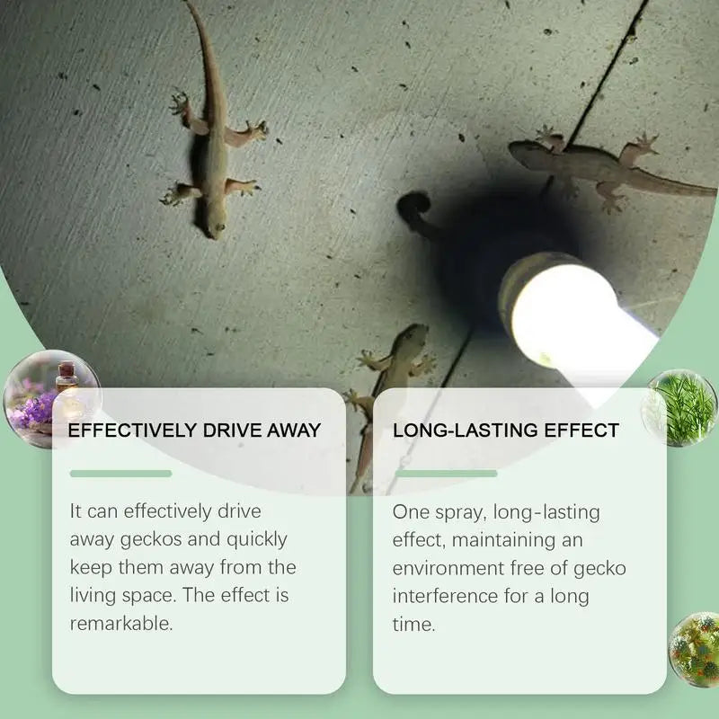 Lizard Repellents Spray Natural Lizard Repellents 50ml Lavender Oil Gecko Spray Powerful Pet